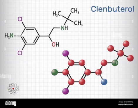clenbuterolo