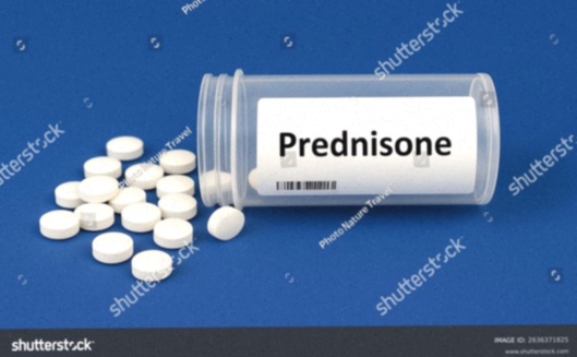 prednisone