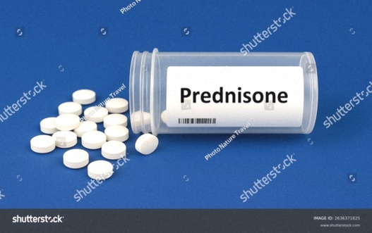 prednisone